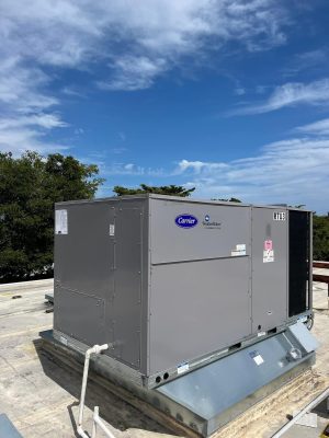 WhatsApp Image 2024-04-02 at 4.44.00 p. m. (4)